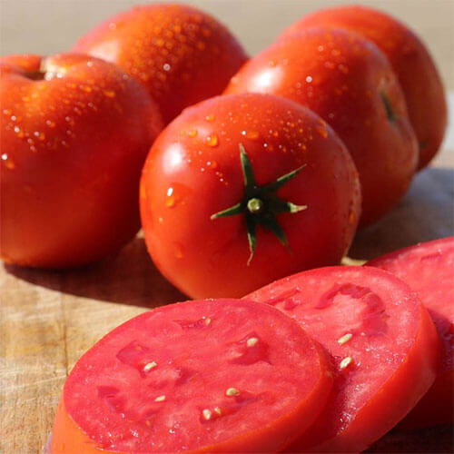 Shin Cheong Gang – Tomato Seed